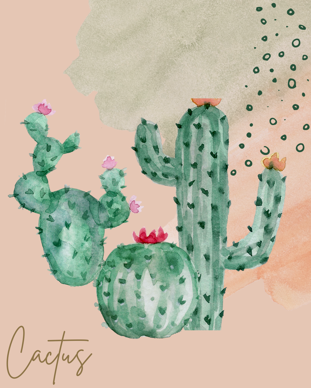 Planificateur cactus